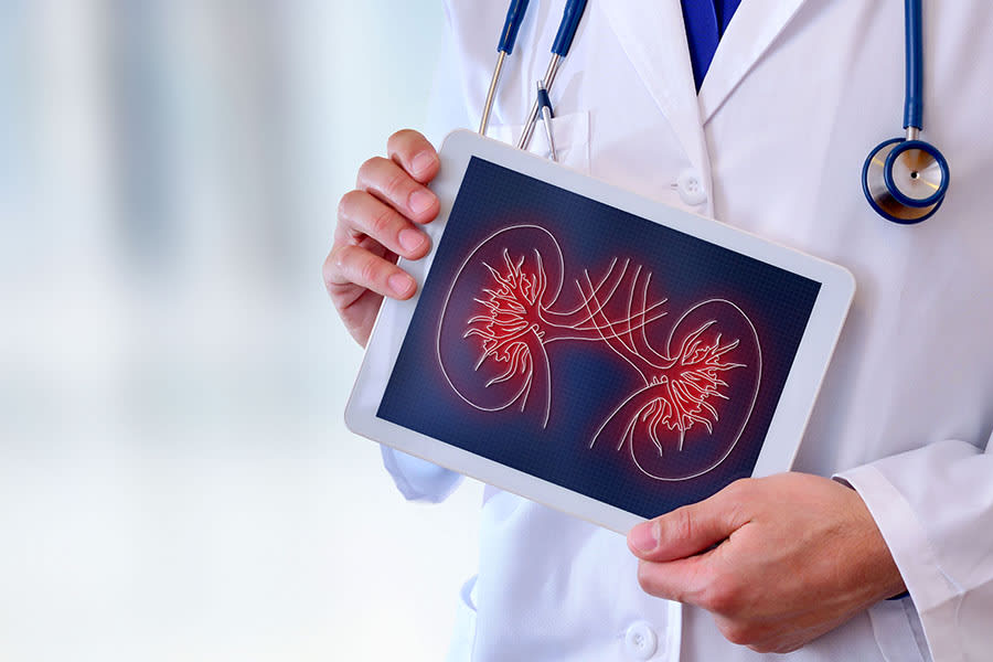 A doctor holds up a tablet with an image of the kidneys