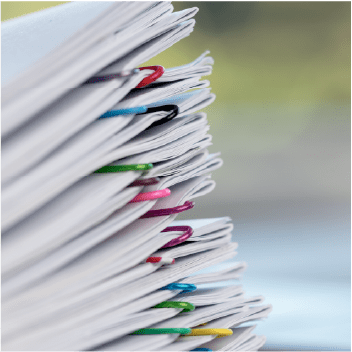 Research Ethics Board